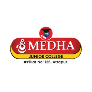 Sri Medha 512x512pix